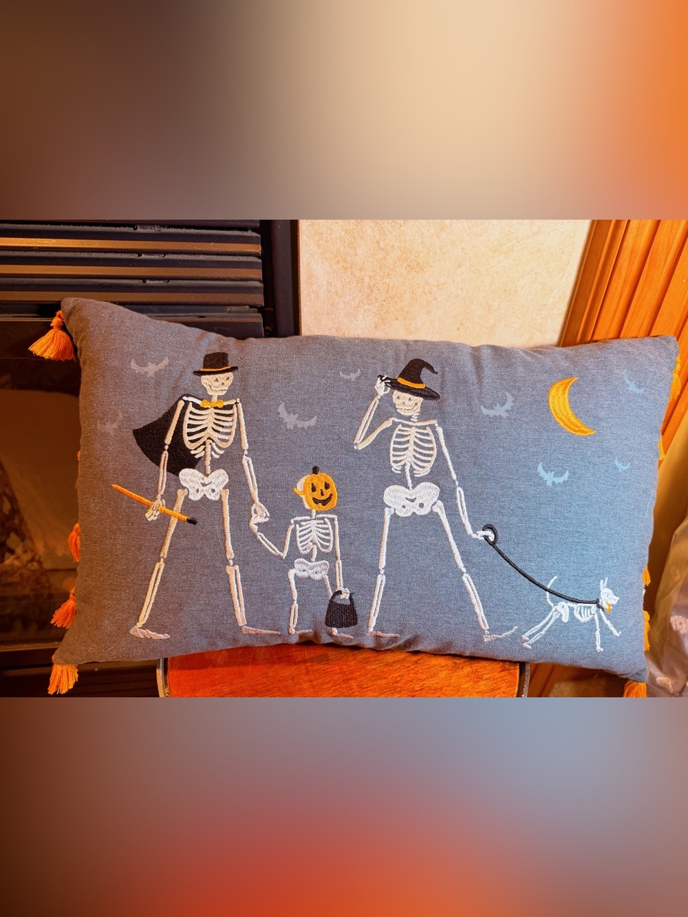 Isaac Mizrahi Halloween Skeleton Dog Pumpkin Glow in Dark Embroidered Pillow